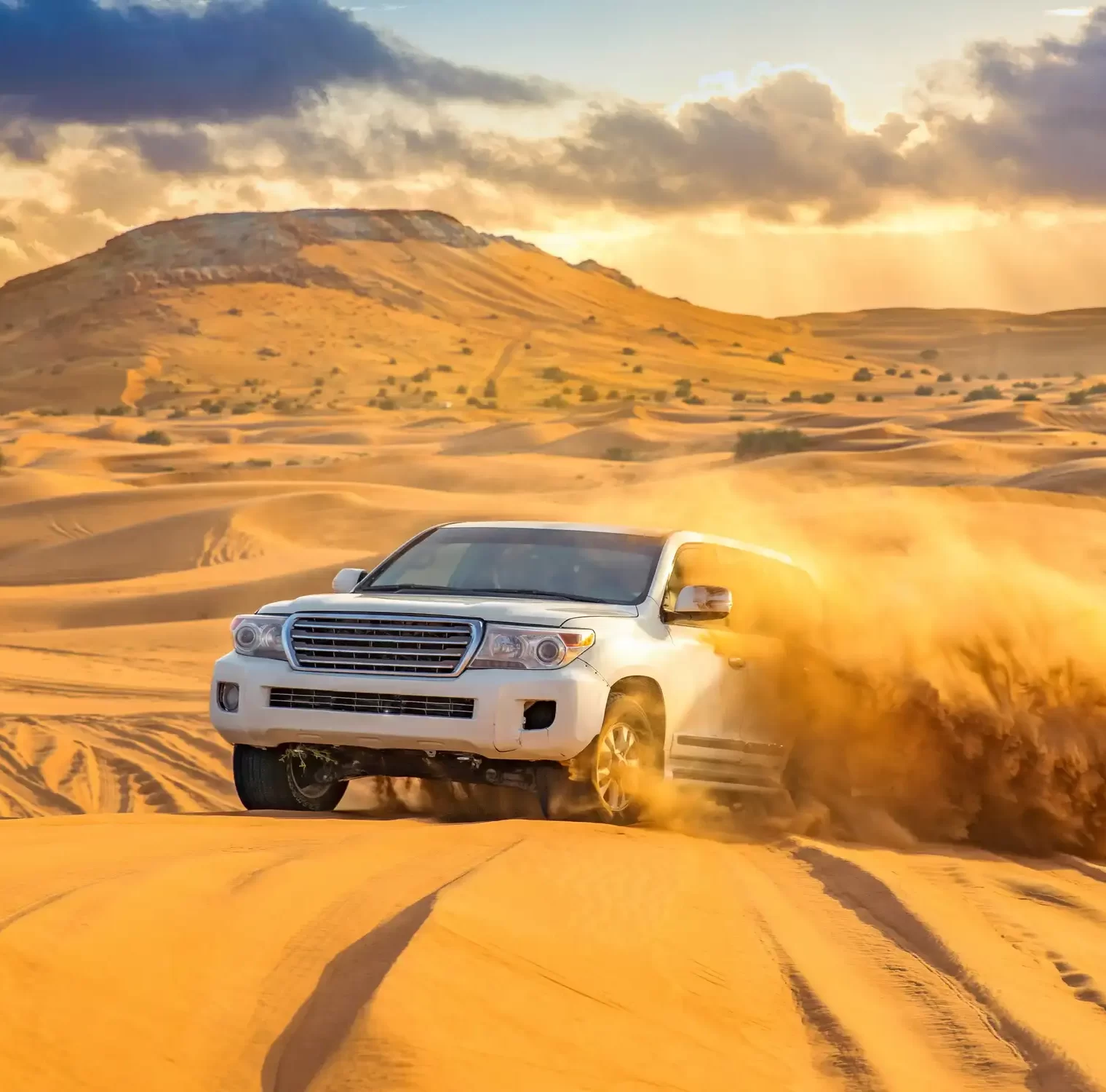 Tour operators in UAE