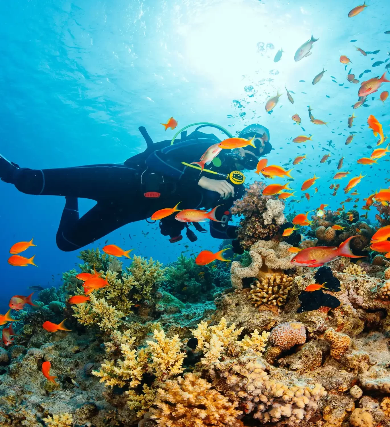 Best tour operators